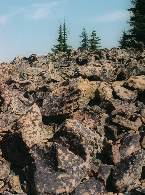 [The huge rocks--small bounders have color variations that look like a skin disease with colors alternating between pinkish-tan and dark brown. The entire hillside is rocks, but there are evergreens at the top of the hill.]